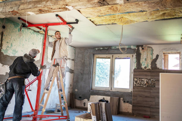 Best Eco-Friendly Insulation in South Barre, VT